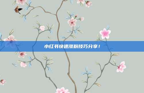 小红书快速涨粉技巧分享!