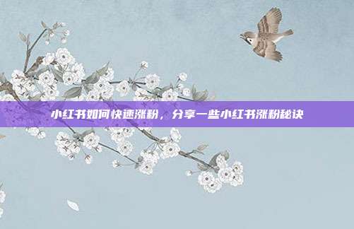 小红书如何快速涨粉,分享一些小红书涨粉秘诀
