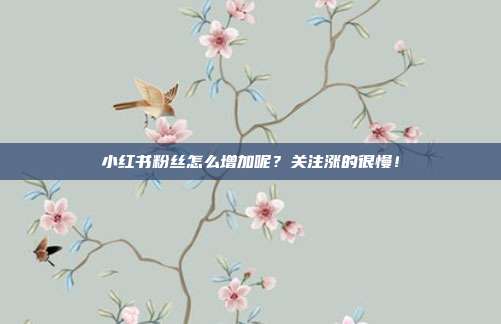 小红书粉丝怎么增加呢?关注涨的很慢!