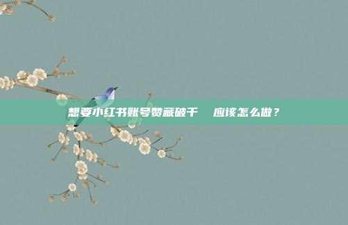 想要小红书账号赞藏破千 应该怎么做?