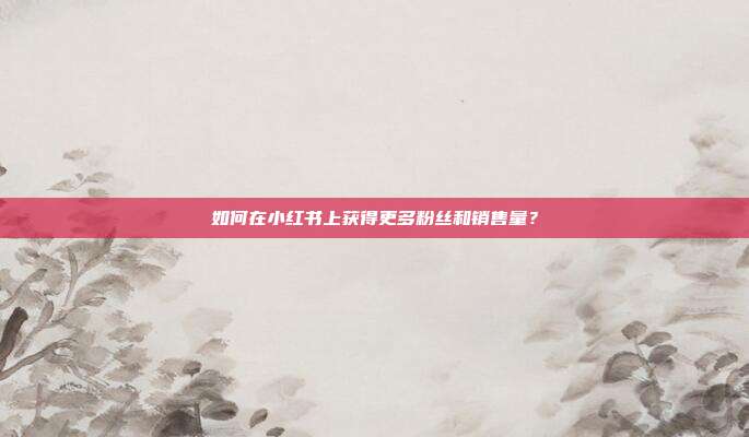 如何在小红书上获得更多粉丝和销售量？