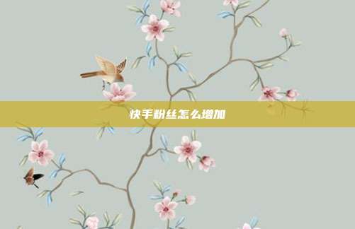 快手粉丝怎么增加