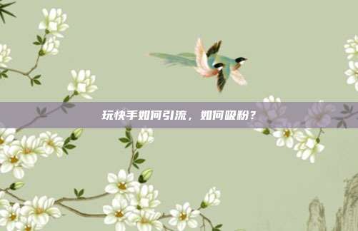 玩快手如何引流,如何吸粉?