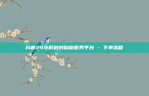 抖音24小时秒到自助服务平台 - 下单流程