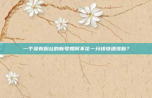 一个没有粉丝的新号如何不花一分钱快速涨粉?