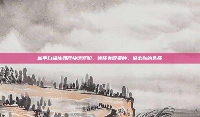 新手自媒体如何快速涨粉,途径有很多种,说出你的选择