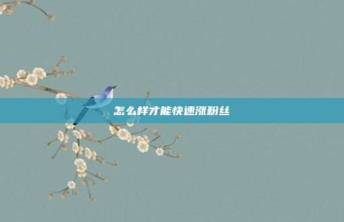 怎么样才能快速涨粉丝