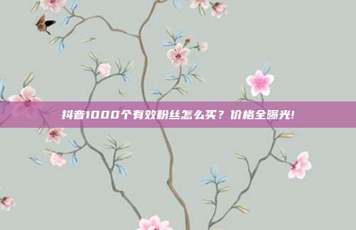 抖音1000个有效粉丝怎么买?价格全曝光!