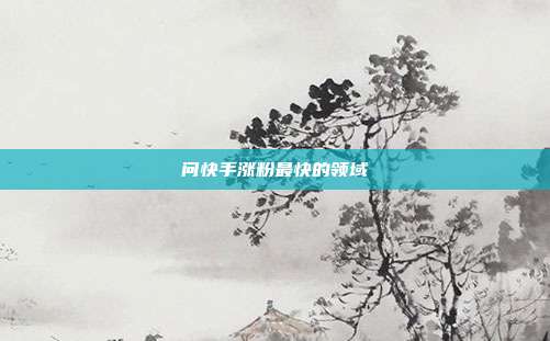 问快手涨粉最快的领域