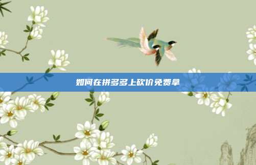如何在拼多多上砍价免费拿