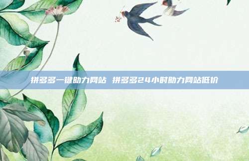 拼多多一键助力网站 拼多多24小时助力网站低价