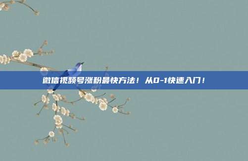 微信视频号涨粉最快方法!从0-1快速入门!
