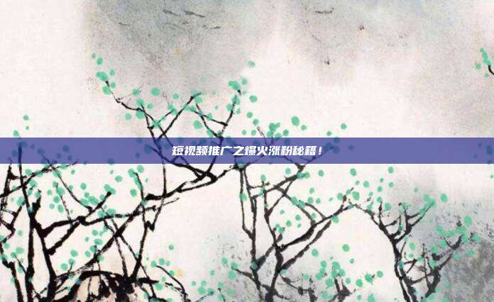 短视频推广之爆火涨粉秘籍!