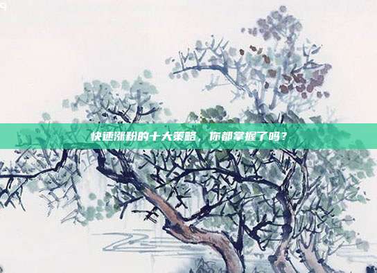 快速涨粉的十大策略,你都掌握了吗?