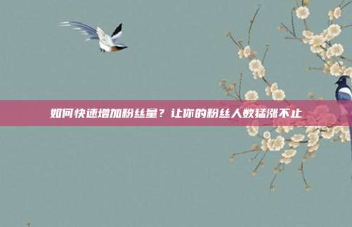 如何快速增加粉丝量?让你的粉丝人数猛涨不止