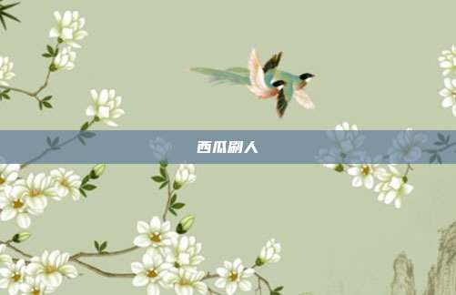 西瓜刷人