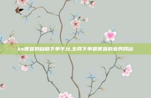 ks便宜的自助下单平台,全网下单最便宜的业务网站