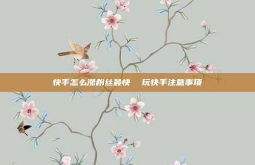 快手怎么涨粉丝最快 玩快手注意事项