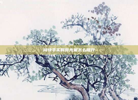 问快手实时曝光量怎么提升