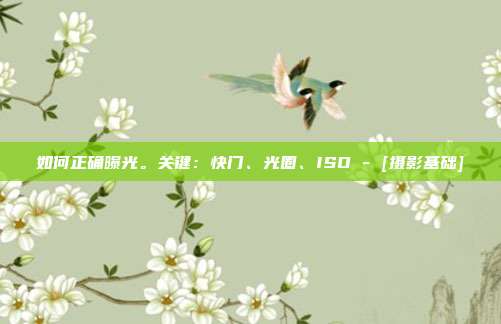 如何正确曝光。关键：快门、光圈、ISO - [摄影基础]