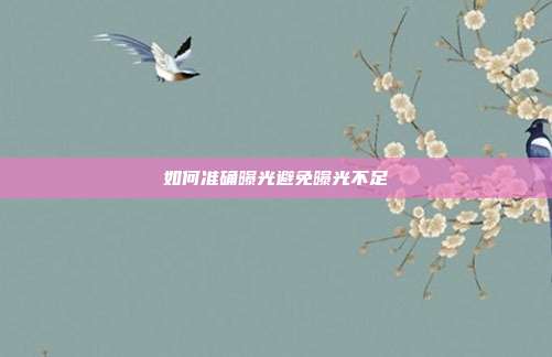 如何准确曝光避免曝光不足