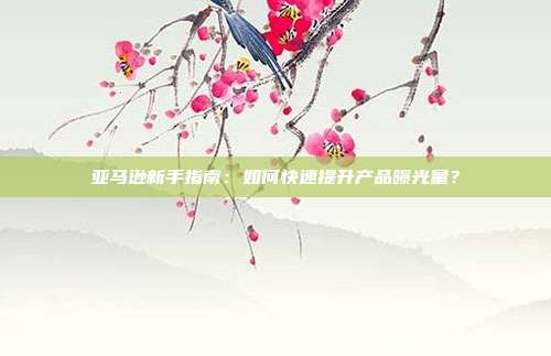 亚马逊新手指南:如何快速提升产品曝光量?