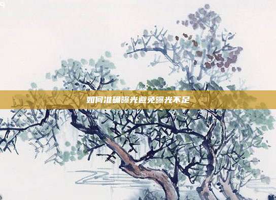 如何准确曝光避免曝光不足