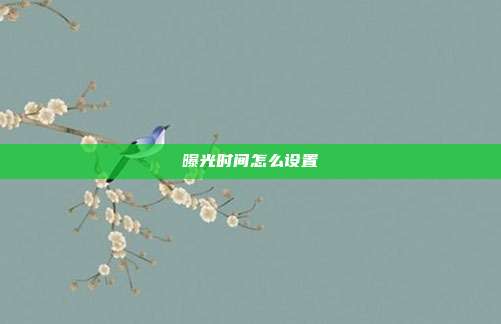曝光时间怎么设置