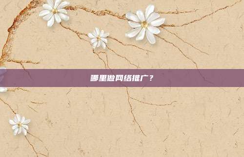 哪里做网络推广?