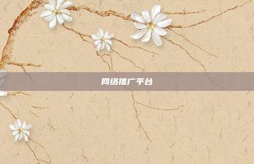 网络推广平台