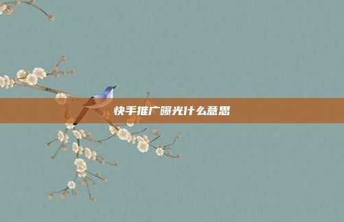 快手推广曝光什么意思