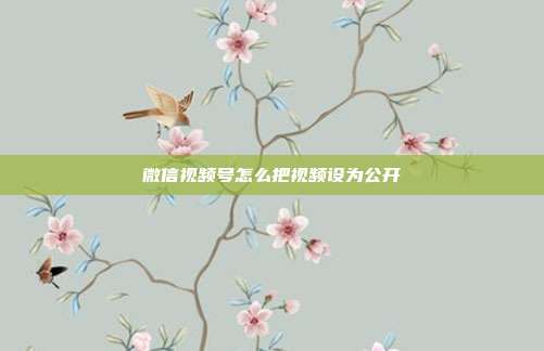 微信视频号怎么把视频设为公开