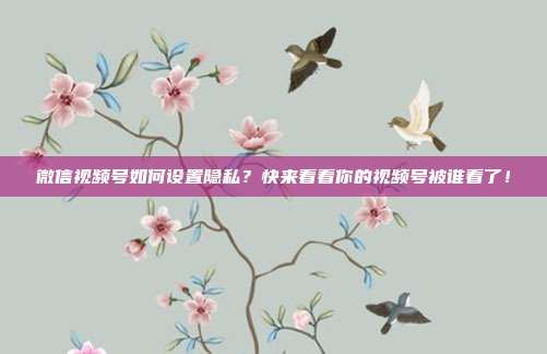 微信视频号如何设置隐私?快来看看你的视频号被谁看了!