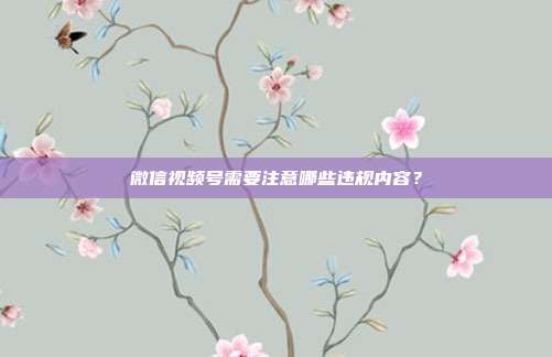 微信视频号需要注意哪些违规内容?