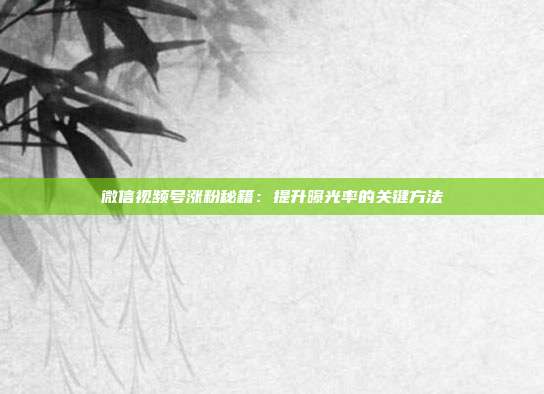 微信视频号涨粉秘籍：提升曝光率的关键方法