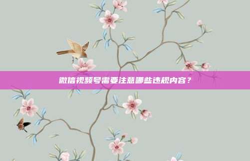 微信视频号需要注意哪些违规内容？