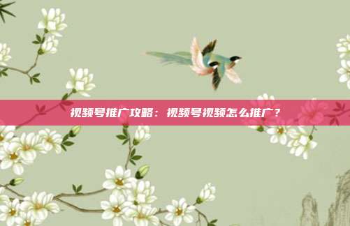 视频号推广攻略:视频号视频怎么推广?