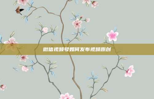 微信视频号如何发布视频原创