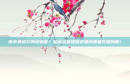 南京美贝尔风评被害?起诉名誉侵权却遭消费者死磕到底!