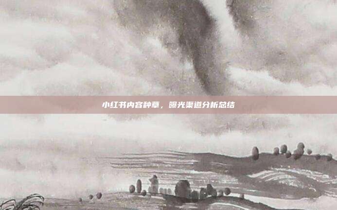 小红书内容种草,曝光渠道分析总结