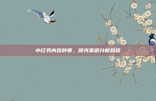 小红书内容种草,曝光渠道分析总结