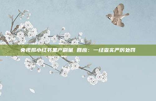 央视揭小红书黑产刷量 回应:一经查实严厉处罚