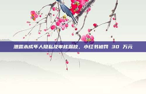 泄露未成年人隐私及审核漏放,小红书被罚 30 万元