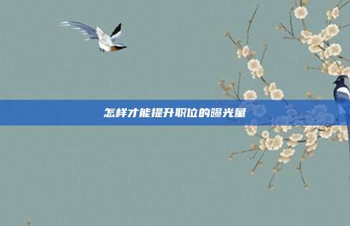怎样才能提升职位的曝光量