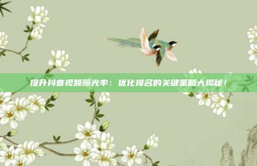 提升抖音视频曝光率：优化排名的关键策略大揭秘！