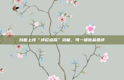 抖音上线“评论点踩”功能，可一键折叠恶评