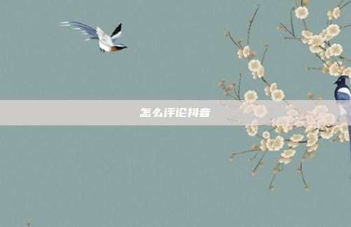 怎么评论抖音