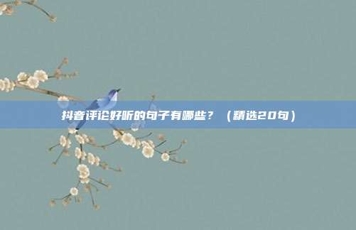 抖音评论好听的句子有哪些？（精选20句）