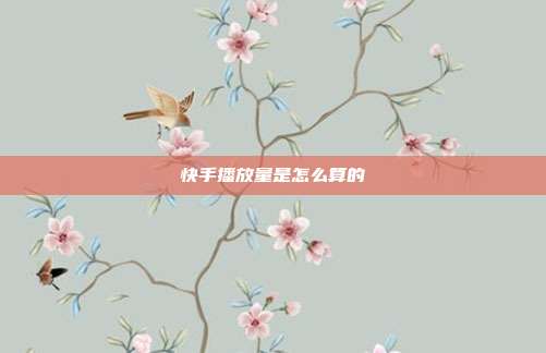 快手播放量是怎么算的