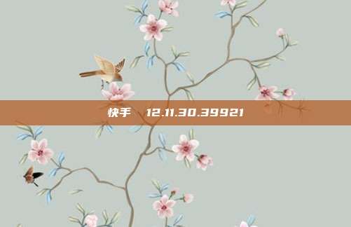 快手  12.11.30.39921